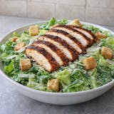 Blackened Chicken Caesar Salad