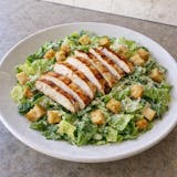 Chicken Caesar Salad