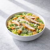 Chicken Caesar Salad