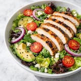 Grilled Chicken Salad