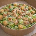 Chicken Caesar Salad