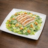 Grilled Chicken Caesar Salad