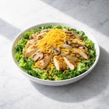 23. Pollo Semi Alfredo Salad