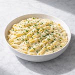 Penne Alfredo  Catering  