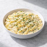 Penne Alfredo  Catering  