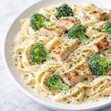 Chicken Broccoli Alfredo 