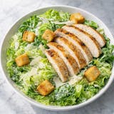 Caesar Salad with Chicken 