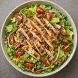 Grilled Chicken Salad