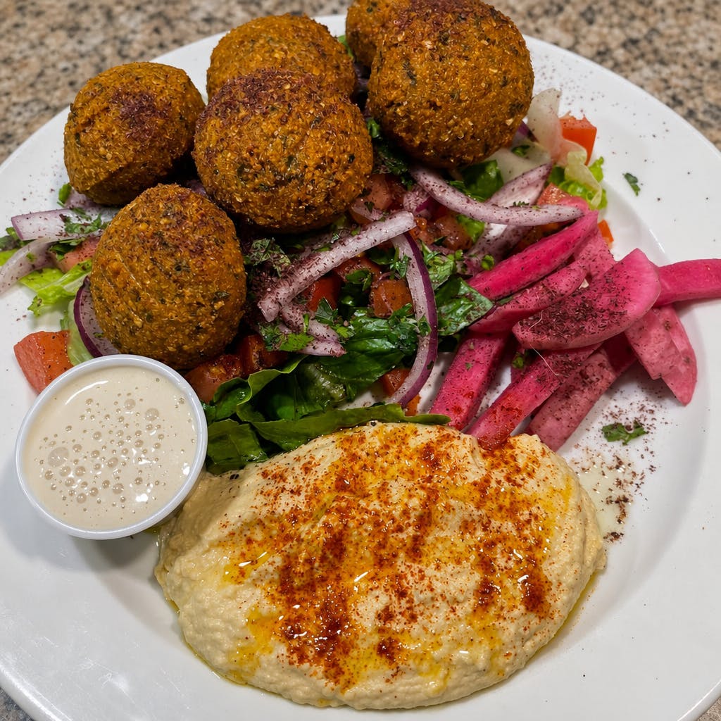 #9 WTFalafel Plate