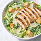 Grilled Chicken Caesar Salad