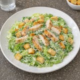 Chicken Caesar Salad