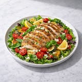 Chicken Griglia Catering