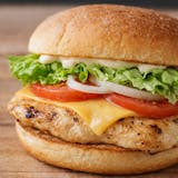 Grilled Chicken Sandwich 