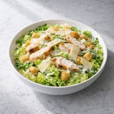 Chicken Caesar Salad