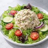 Chicken Salad Plate