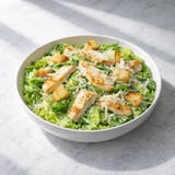 Chicken Caesar Salad
