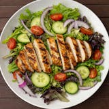 Grilled Chicken Salad