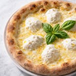  White Pizza