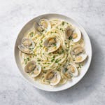 Linguine with Clams with Alfredo Sauce 