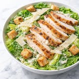 Chicken Caesar Salad