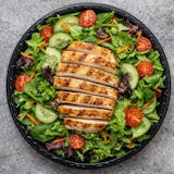 Grilled Chicken Salad