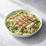 Caesar with Grilled Chicken Salad 