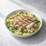 Caesar with Grilled Chicken Salad 