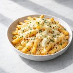 Mozzarella Cheese Fries