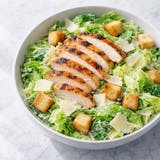 Grilled Chicken Caesar Salad 