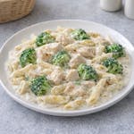 Chicken & Broccoli with Alfredo Sauce