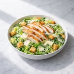 Chicken Caesar Salad