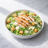 Chicken Caesar Salad