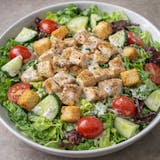 Chicken Salad