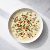 Clam Chowder Soup