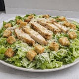 Chicken Caesar Salad