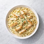 Chicken Alfredo 