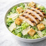 Grilled Chicken Caesar Salad