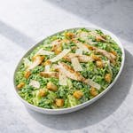  Caesar Salad Catering