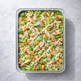 Chicken Caesar Salad Party Tray Catering 