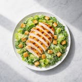 Grilled Chicken Caesar Salad 