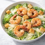 Shrimp Cesar Salad 