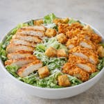 Chicken Caesar Salad