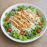 Grilled Chicken Salad