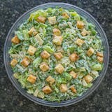 Caesar Salad Catering